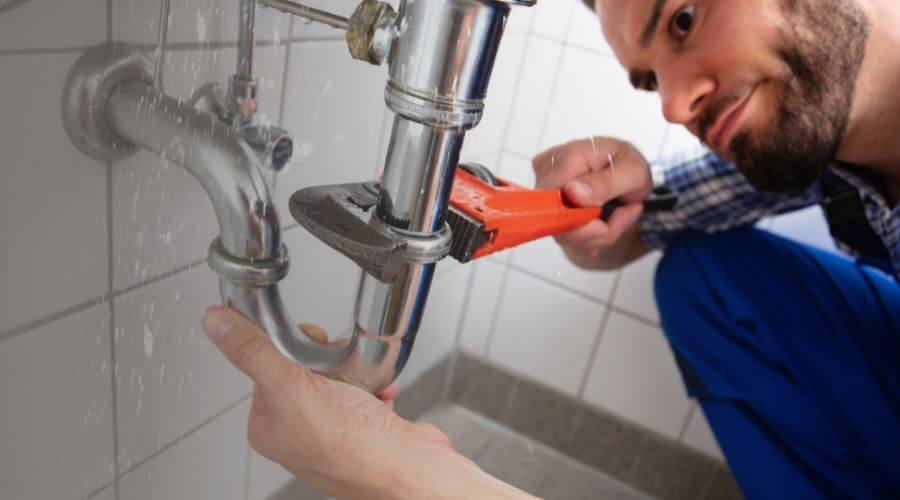 Professional clogged toilet repair services in Nixon, NV